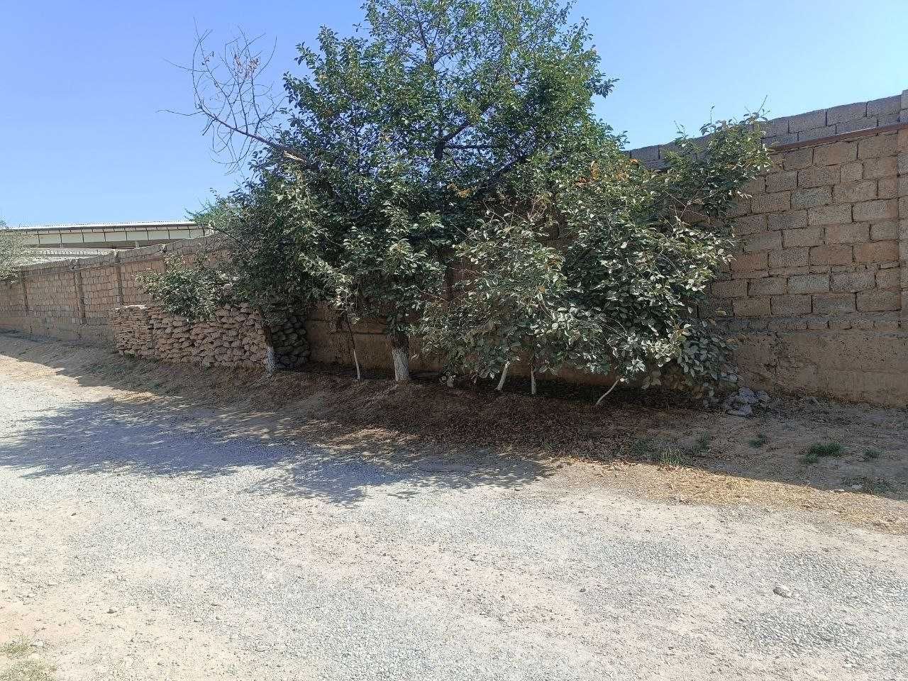 Yer sotiladi Uch qahramon po`stidan 5-6 km kirganda