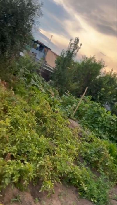 Продаётся дача в удобном районе — Медзавод