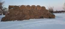 Сено в тюках и рулоннах