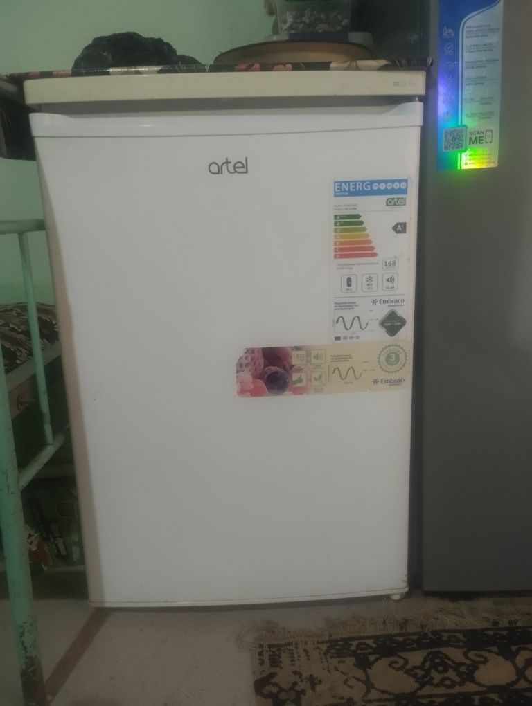 Artel haladelnik