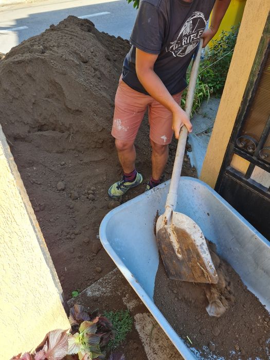 Pământ negru veget