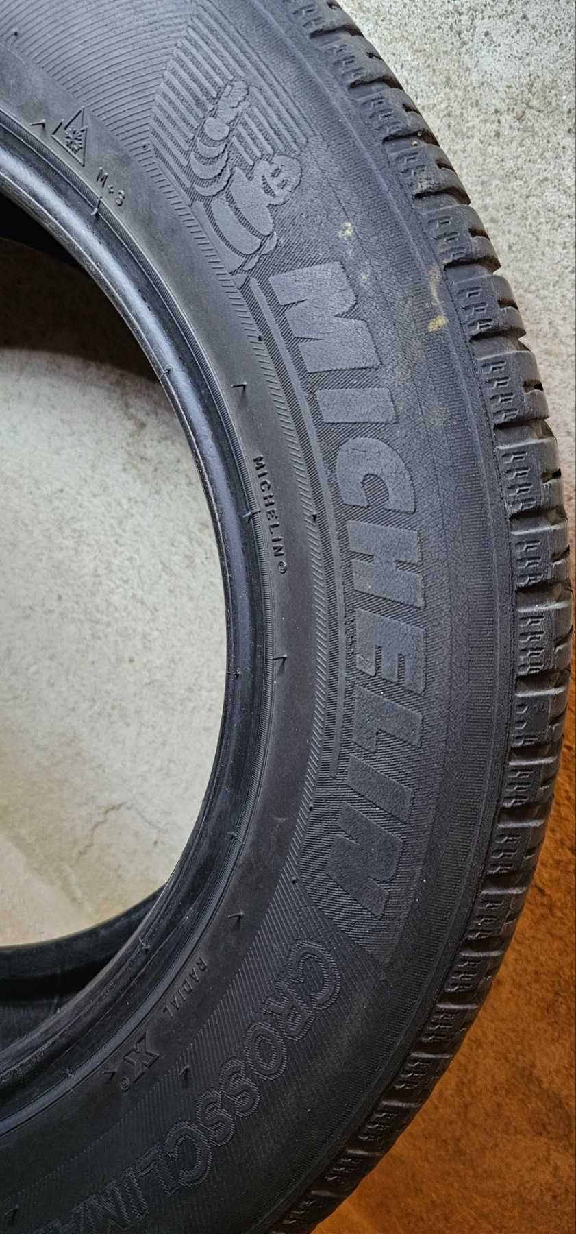Зимни гуми Michelin