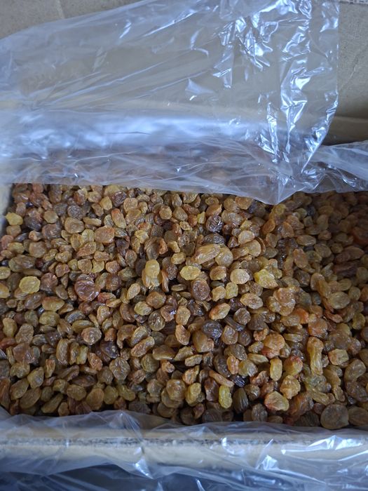 Stafide Brune Iran bax 5kg