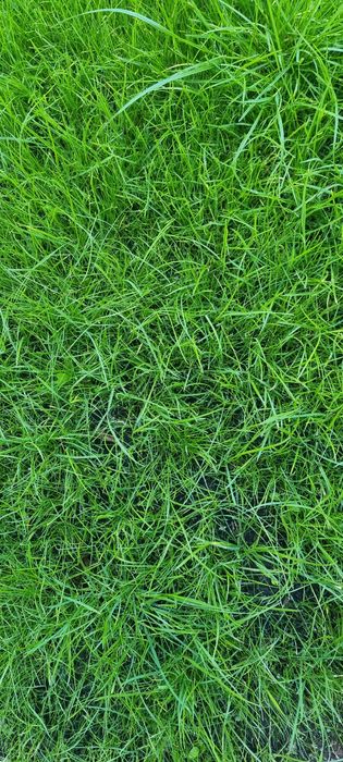 Terenuri intravilane de vanzare Tauti Cluj