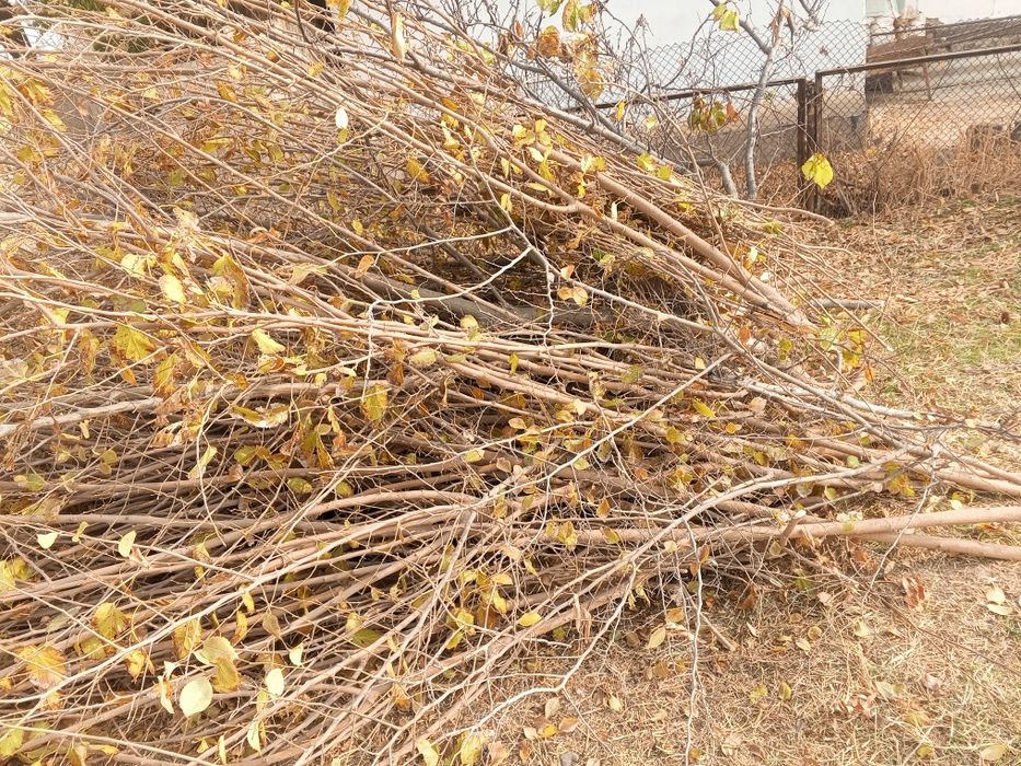 Внимание акция Диккат акция Утсин сотилади Кишни совук кунларига утсин