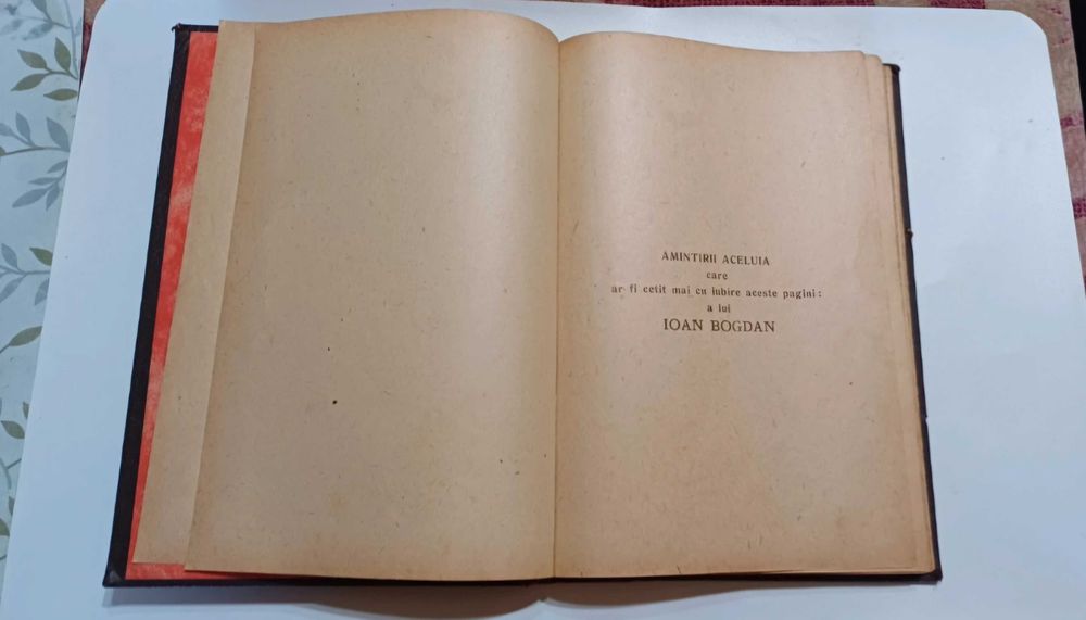N. Iorga - Rusia și Polonia din 1919