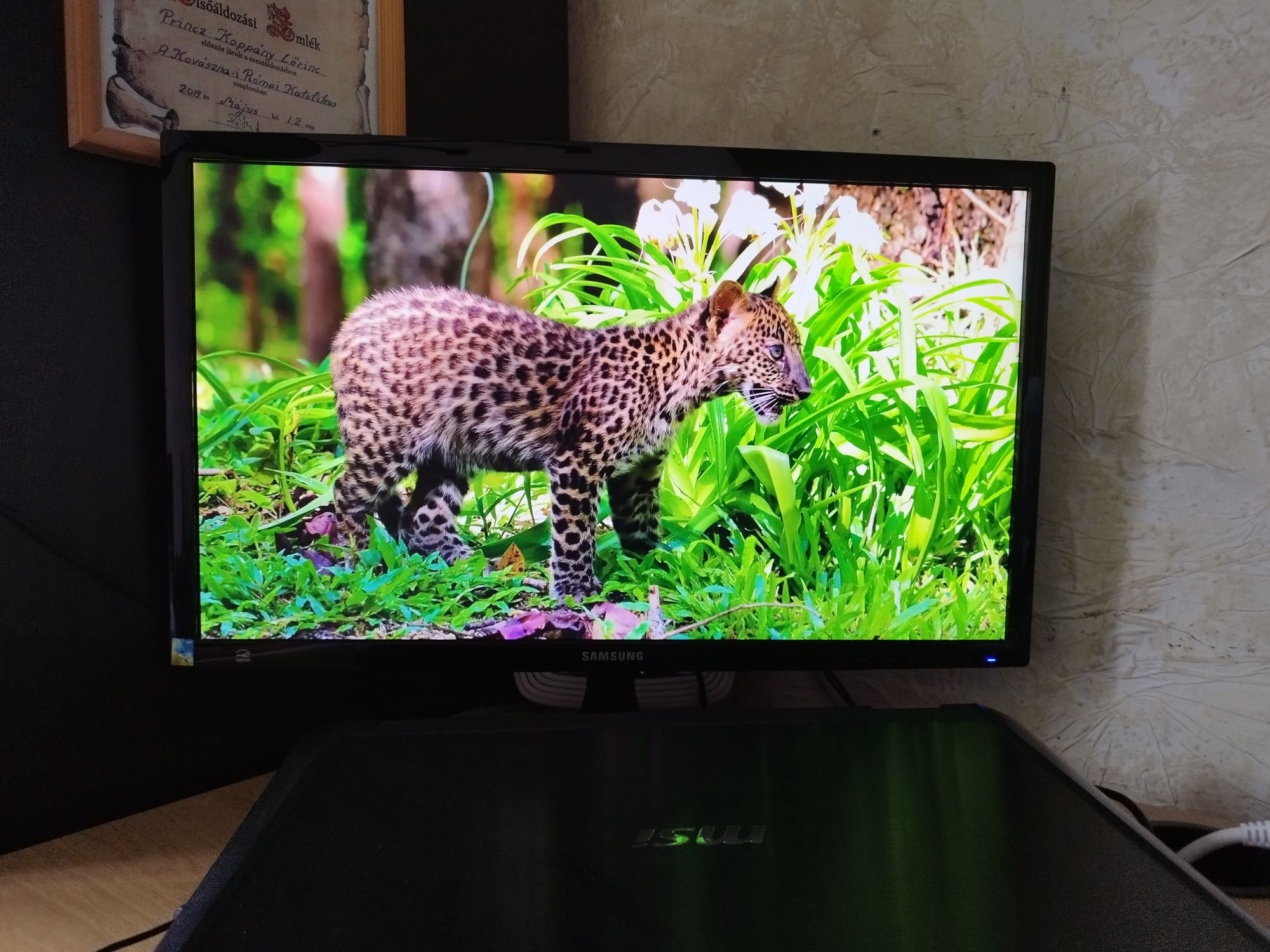 Monitor samsung 24"  60hz