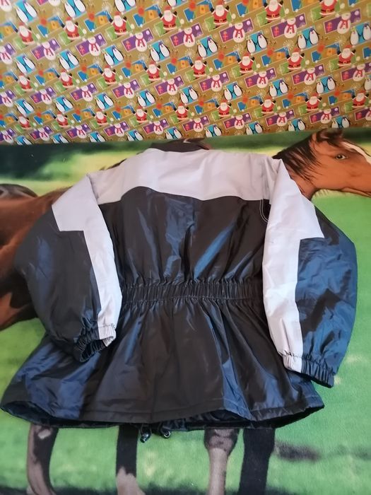 OFERTA, OFERTA, Ofertă, Ofertă, Ofertă, Ofertă