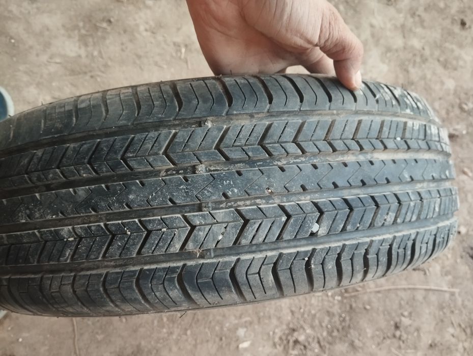 Balon Demetir 185/70/13 lik