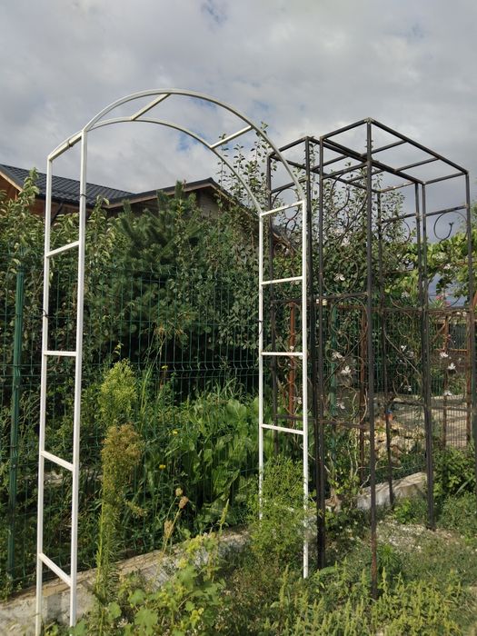 Arcade și pergole de trandafiri si evenimente