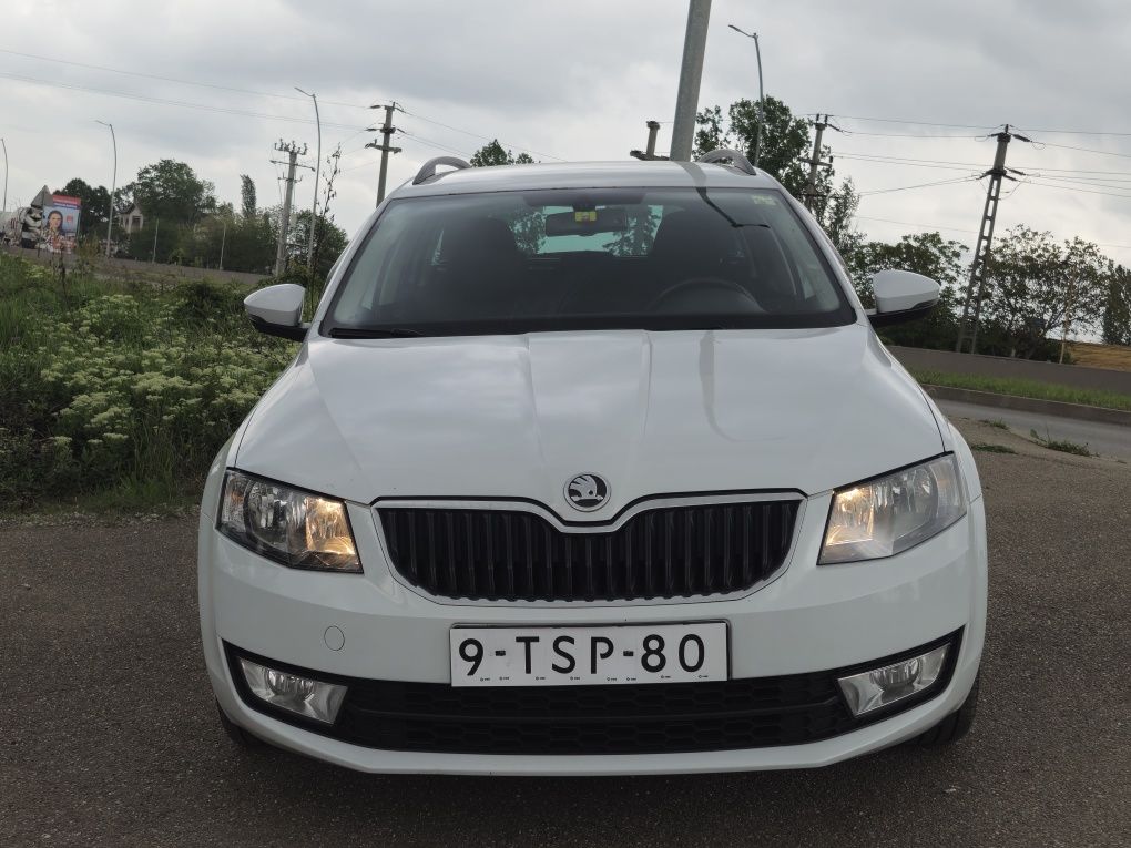 SKODA Octavia 2014 Greentech Businessline Posibilitate rate