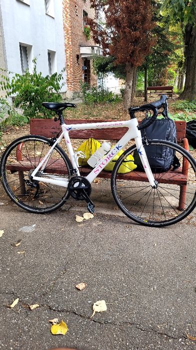 Cursiera STORCK marime 55/carbon