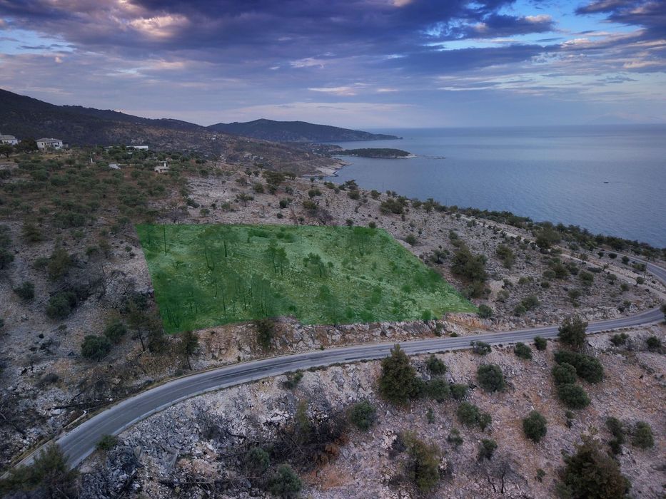 Тимоня, до Алики, о-в Тасос - морски парцел 6 122 кв.м, строи 230 кв.м