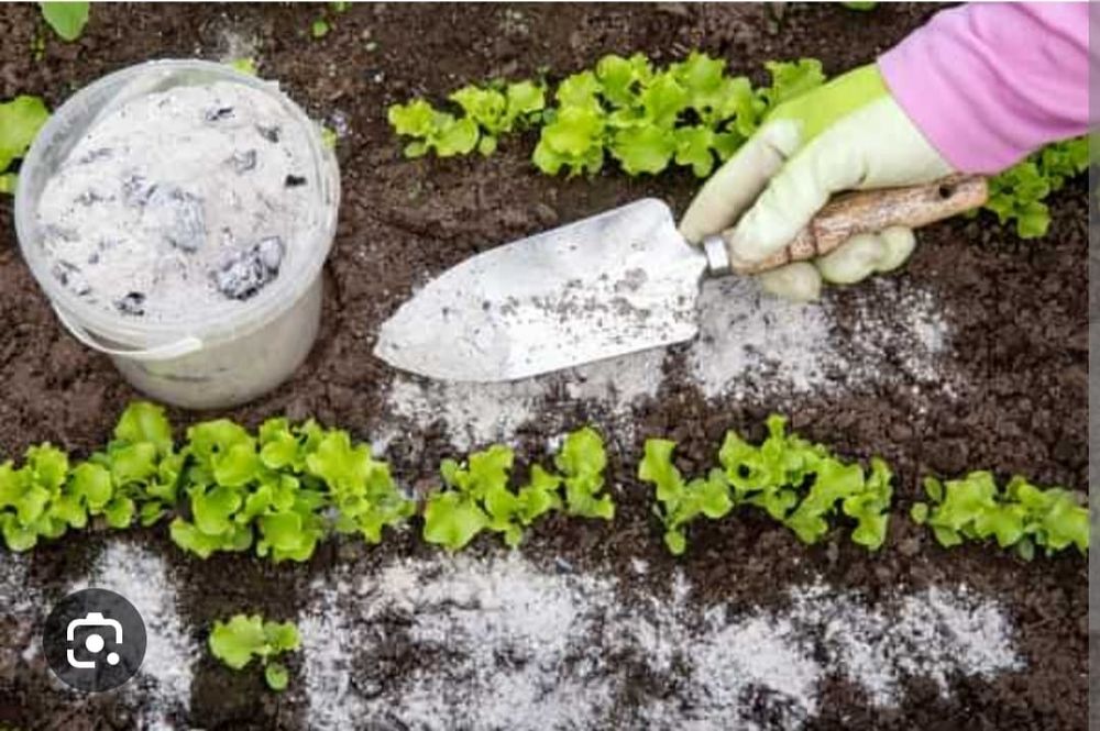 Vând Cenușă pentru grădină 1 kg