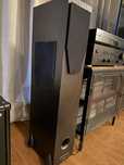 Boxe audio audiofile REGA RS3