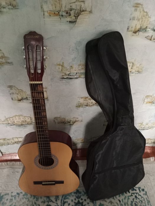 Гитара с чехлом.