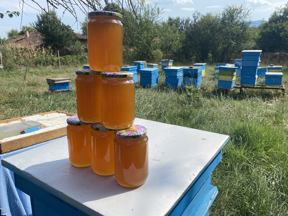 Продавам 100 % натурален полифлорен пчелен мед от Сакар планина