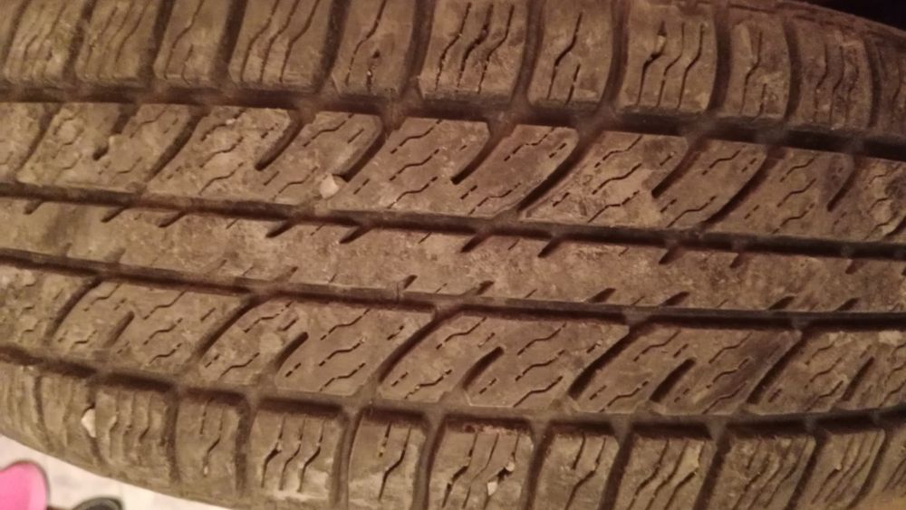 Шина всесезонка одна