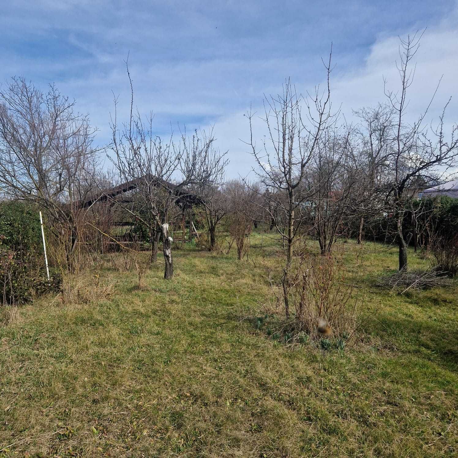 Teren  intravilan 1500 Mp, Tautelec,Bihor