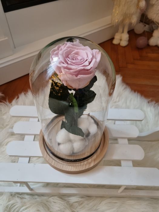 Trandafiri criogenati !