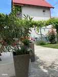 Vila Eforie Nord P+1+M 11 camere piscina si curte mare