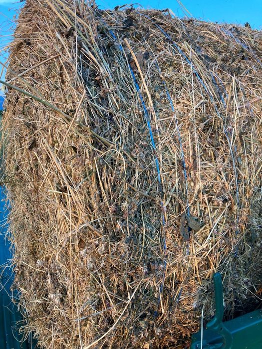 Baloti Lucerna Calitatea 1