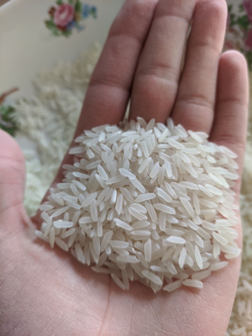 Продам рис сорта "Лазер"