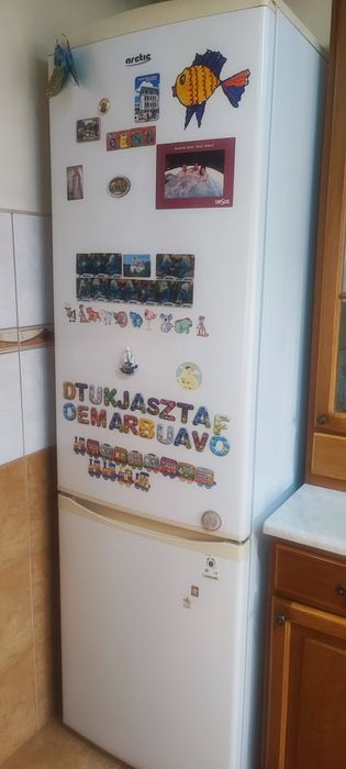 Combină frigorifică Arctic