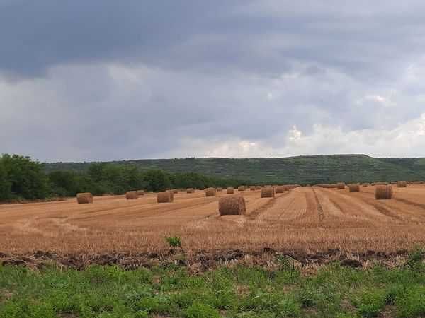 Продавам рулонни бали сено и житена слама