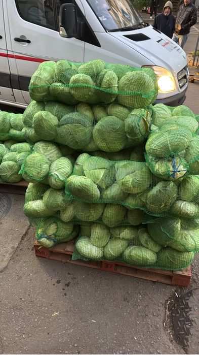 Varză Verde De Murat/Tocat