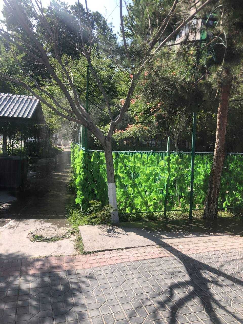Tandir somsa tayyorlovchi va sotuvchi