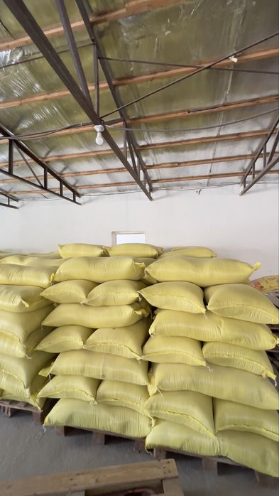 Bug’doy kepak sotiladi