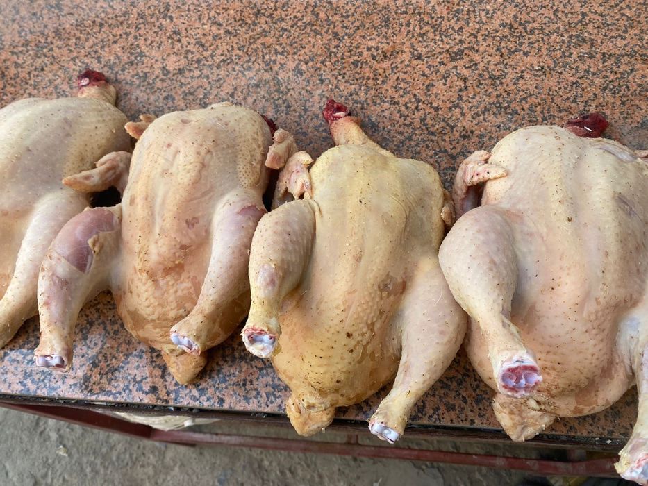 Мясо Бройлеров без ГМО! Чистый Халяль .