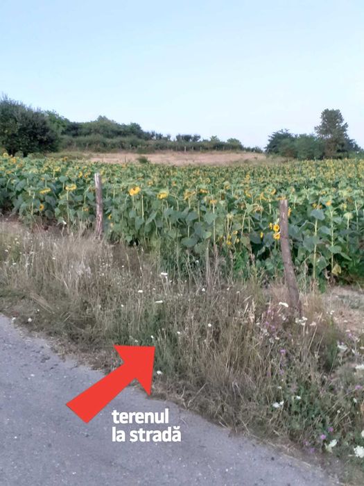 Teren intravilan 3000 mp situat in Zalau zona Sarmas