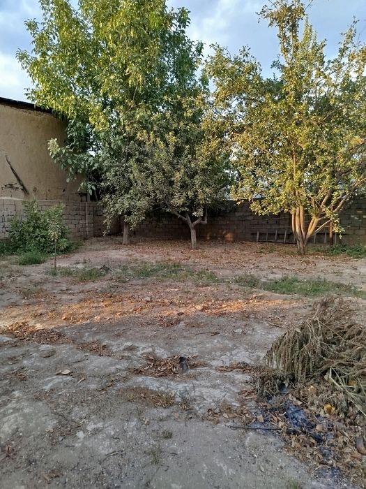 Yer sotiladi. 2 sotx Zangiota tumani Nazarbek Harakat mahalla  srochna