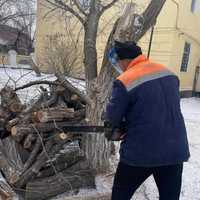 Спил  обрезка деревьев в Актобе