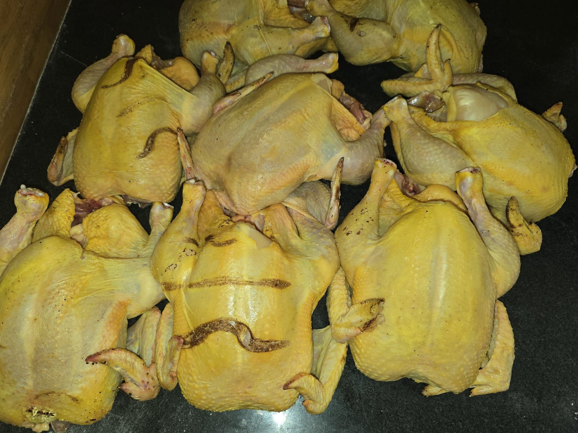gaini pentru ouă /carne puicute la 1 an în plin sezon de ouat .