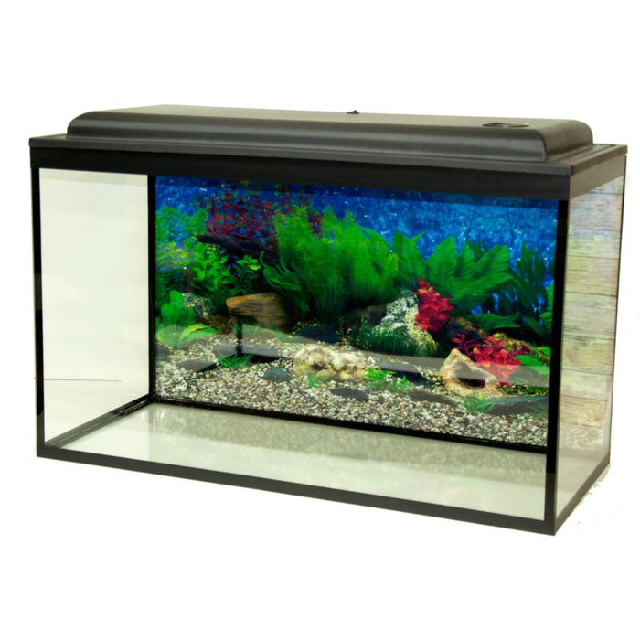 Большой выбор аквариумов. Аквариумы