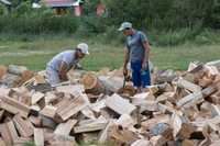 Vând lemne de foc sau schimb uscate și verzi