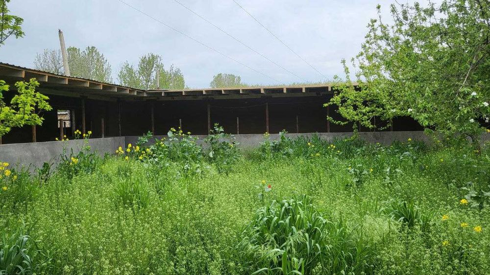 Назарбек Текстилда 6 сотих ховли сотилади. NR494/49