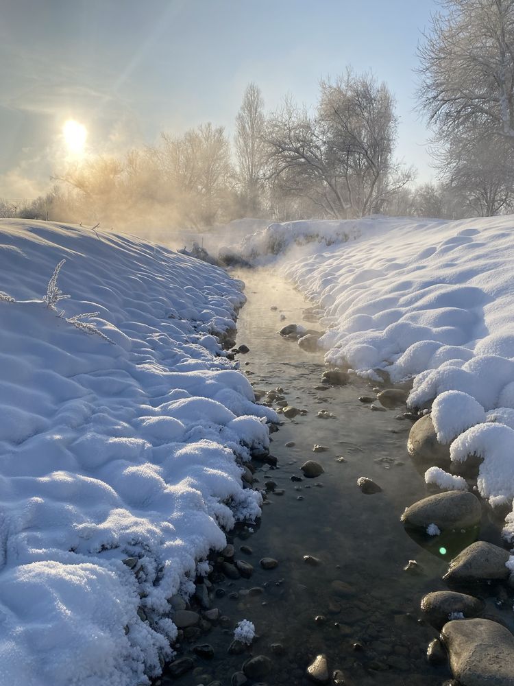 Аренда загородного домика