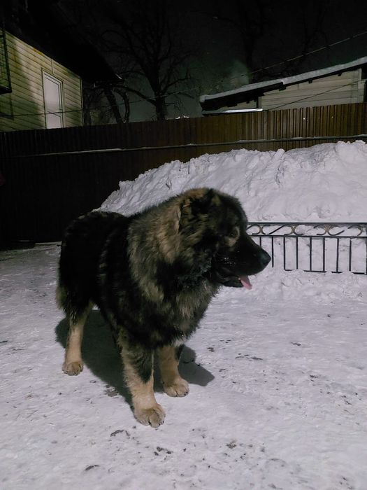 Вязка вязка вязка