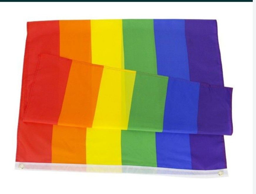 Steag LGBT 60*90 cm