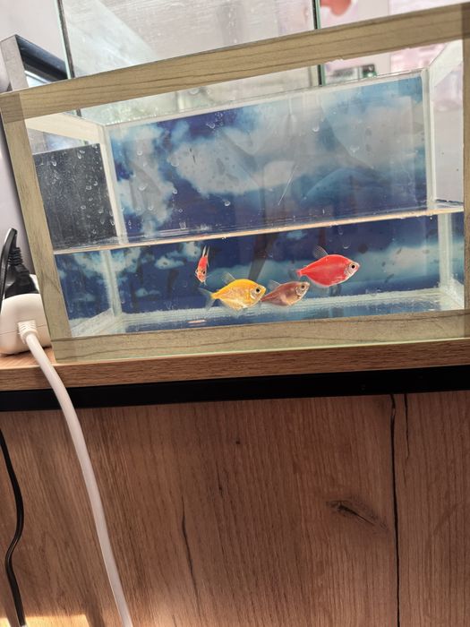 Продам 3 аквариума 5, 20,35 литров