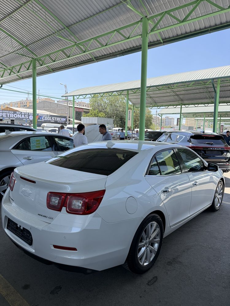 Malibu 1 3-pozitsiya 2014-15