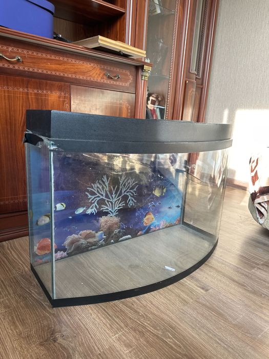 Отдам аквариум бесплатно