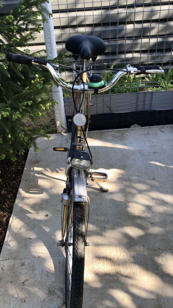 Bicicleta adulti
