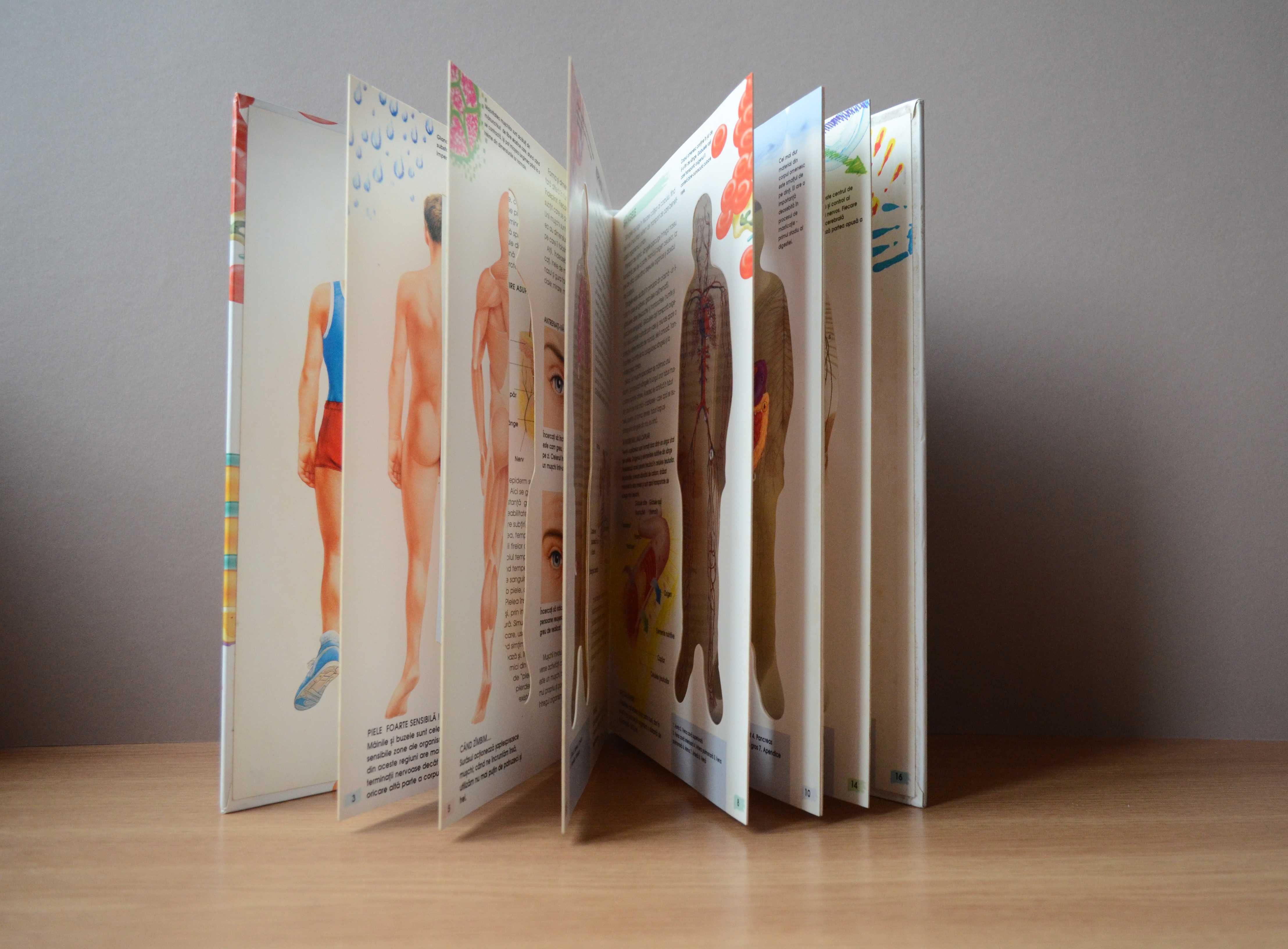 Atlas Anatomie umana / Carte Didactica