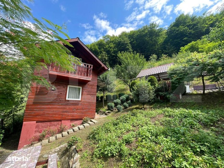 Casa de vacanta cu 4 camere, 1470 mp teren, Sugag