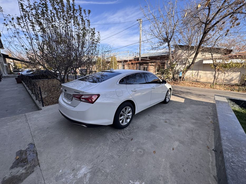 Милибу премер 2020 йил